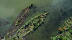 Το θαλάσσιο οικοσύστημα που ανθίζει πάνω σε ναυάγια