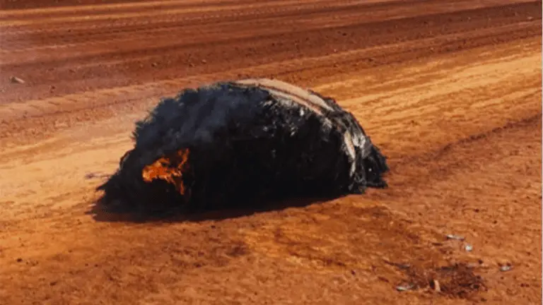 πυρπολημένο αντικείμενο-αυστραλια
